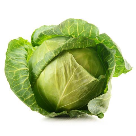 Cabbage