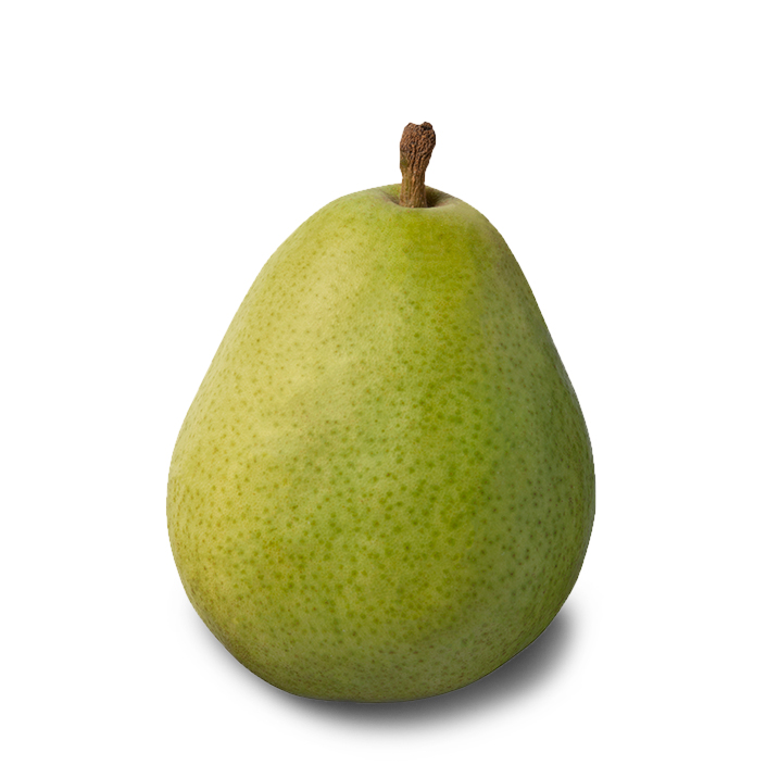 D'anjou Pear