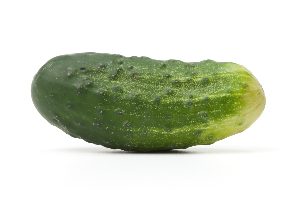 Reg. Cucumber (Kirby) 1pcs