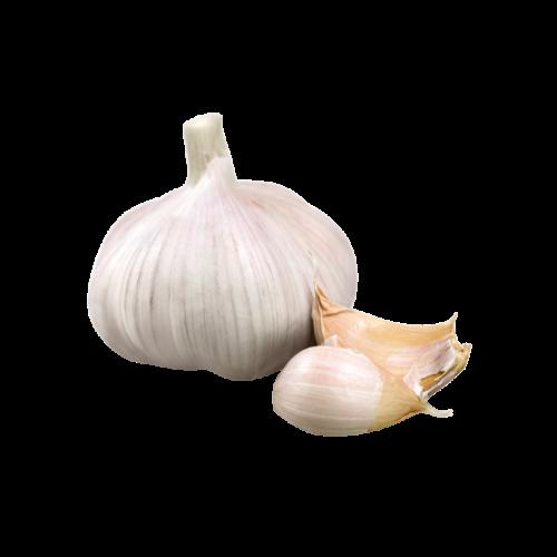 Fresh Garlic 5pcs 1pack