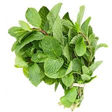 Mint Leaves Bunch 1pcs