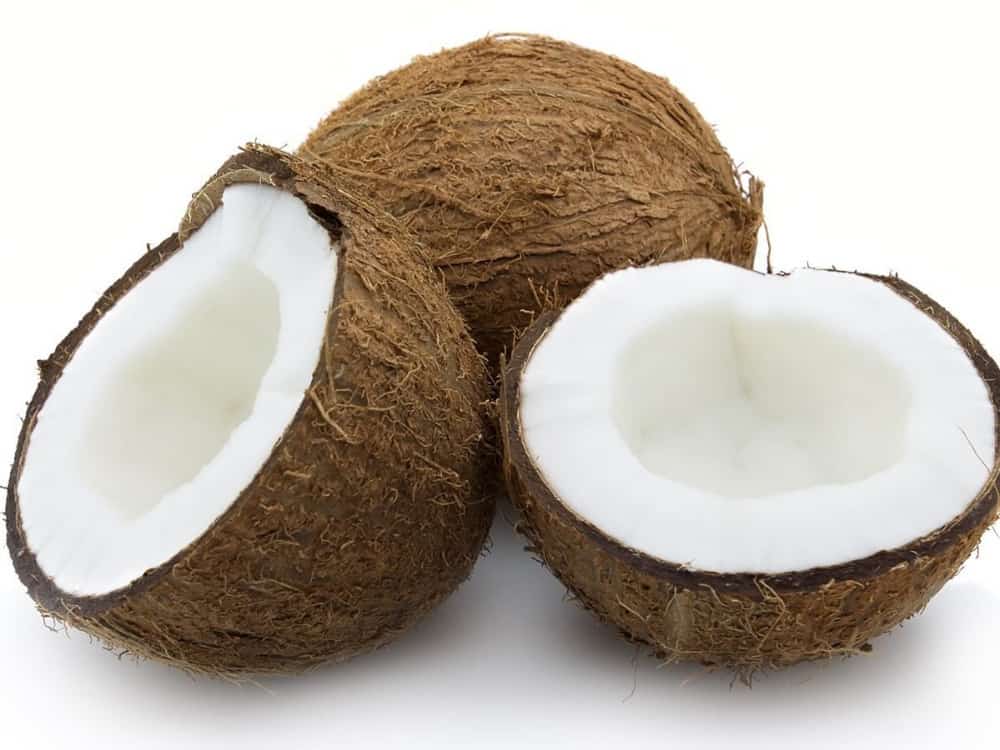 Coconut Dry Whole Small Pieces