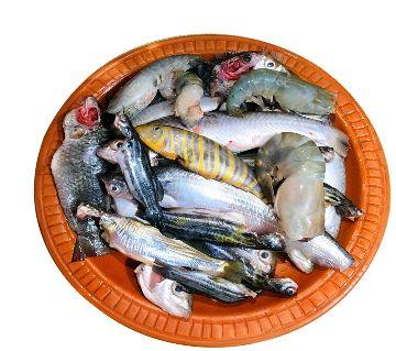 Pachmishali Fish 500g